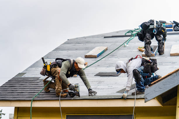 Professional Emergency Roof Repair technician working in Waynesville, OH